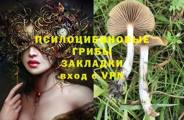 прущие крисы Вяземский