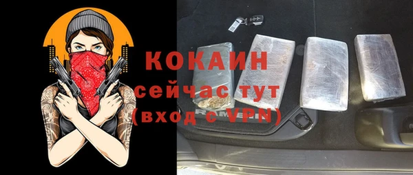 индика Вязьма