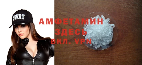 индика Вязьма