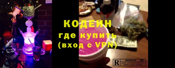 индика Вязьма
