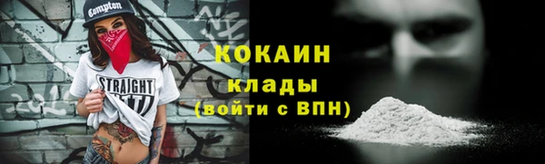 индика Вязьма