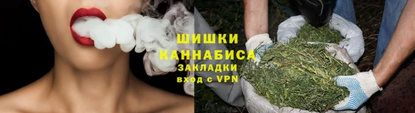 индика Вязьма
