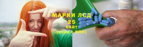индика Вязьма