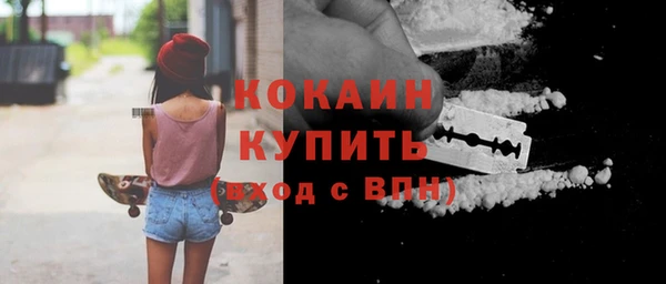 индика Вязьма