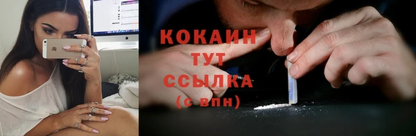 прущие крисы Вяземский