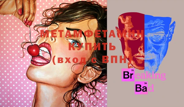 индика Вязьма