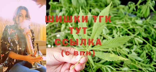 индика Вязьма