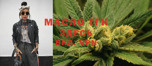 индика Вязьма