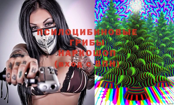 прущие крисы Вяземский